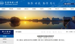 安徽新闻爆料网站,聚焦本土热点，揭示社会万象