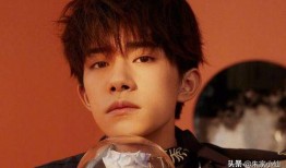 娱乐吃瓜酱杨洋,娱乐吃瓜酱中的璀璨明星