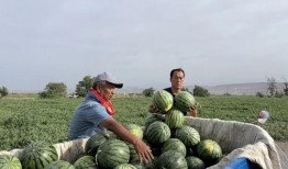 吃瓜娱乐园,娱乐圈幕后故事大公开