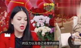 房东爆料直播视频下载网站,房东爆料背后的真相