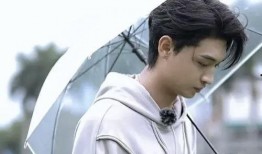 辛雨锡爆料视频,娱乐圈背后的惊人真相