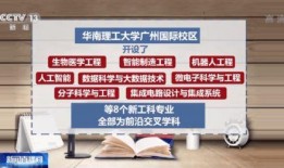 山东大瓜爆料视频大全集,揭秘娱乐圈幕后真相