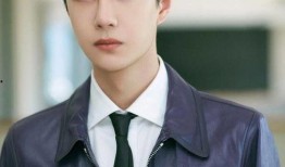 王一博最新资源爆料,多领域发展再创辉煌