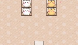 小椰子爆料视频下载网站,一键获取热门视频的秘密