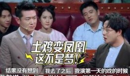 刘维爆料录音视频播放下载,揭秘娱乐圈幕后真相