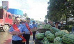 陇南文县网红吃瓜事件,一场网络狂欢背后的真相与反思