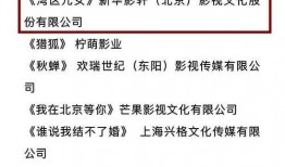 爆料新闻没有采纳的原因,揭秘背后真相与原因