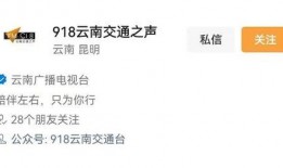 云南交通之声爆料新闻,惊险一幕！高速路上突发事故，紧急救援展开