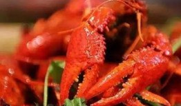 麻辣恶龙虾爆料视频,视频爆料背后的惊人真相