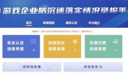 举报新闻爆料有用吗,揭开真相的利剑