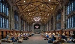 芝加哥大学爆料视频,惊人真相曝光