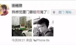 今日生活爆料电话,今日爆料电话背后的故事