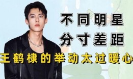 明星娱乐爆料王鹤棣,娱乐圈新晋小生，揭秘他的星途历程