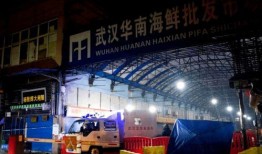 爆料武汉海鲜市场视频,惊现活体海鲜交易现场