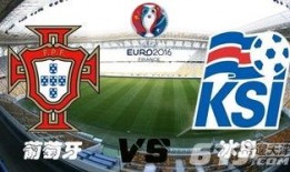 爆料冰岛最新视频下载,壮丽风光与神秘现象一网打尽