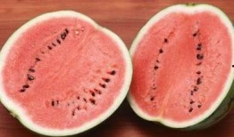 五一免费吃瓜官网