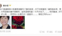 香港娱乐圈真实爆料白话,香港明星那些不为人知的幕后故事