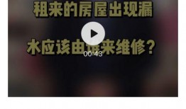 每日一爆料完整视频,视频内容深度解析