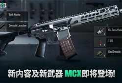 未来之役最新爆料m4,M4神秘爆料，揭秘全新战术利器