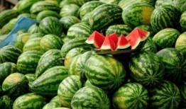 被吃瓜的网红有哪些,盘点那些被热议的“瓜王”事件