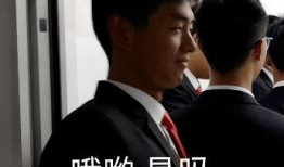 贺少最新爆料,揭秘娱乐圈背后的惊人真相！