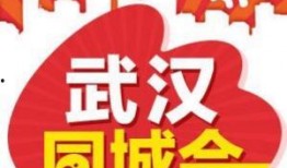 武汉同城最新爆料,揭秘同城热点事件背后的真相