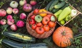 吃瓜娱乐园,娱乐圈幕后故事大公开