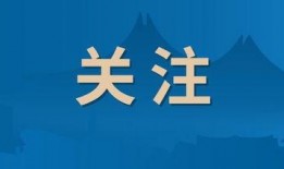 举报新闻爆料有用吗,揭开真相的利剑
