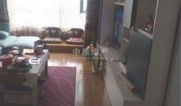 南海租房大爆料视频最新