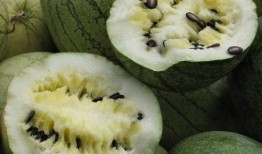 网红泡泡与黄钰杰吃瓜,一场吃瓜盛宴背后的故事