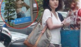 老皮爆料小团子视频全集,老皮爆料视频全集深度解析