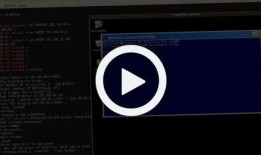 黑客最新爆料视频在线