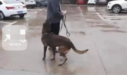 胡鑫宇女朋友爆料视频,揭秘事件背后惊人内幕