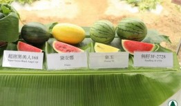 五一免费吃瓜官网