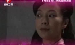 青盲电视剧在线观看,揭秘暗网风云，在线观看解锁悬疑之门