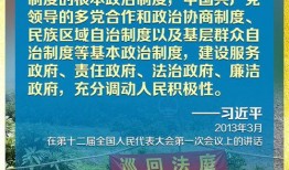功德爆料全过程视频,视频内容深度解析