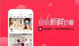 今日西瓜爆料视频,揭秘今日热门视频背后的惊人真相