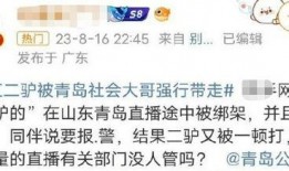 二驴爆料网红套路视频,二驴爆料视频深度解析