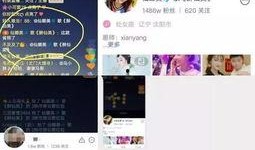 娜美最新 八卦爆料,揭秘娱乐圈背后的惊人真相！