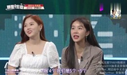 韩综爆料女艺人黑料视频,女艺人黑料视频曝光，真相令人震惊